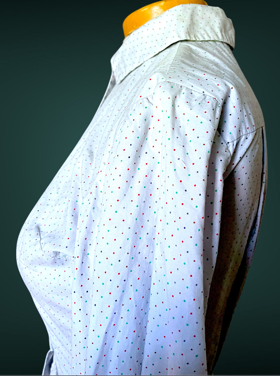 1960 A-Line Red, Blue & Green Polka Dot Button up Shirt Full Skirt Pocket Dress