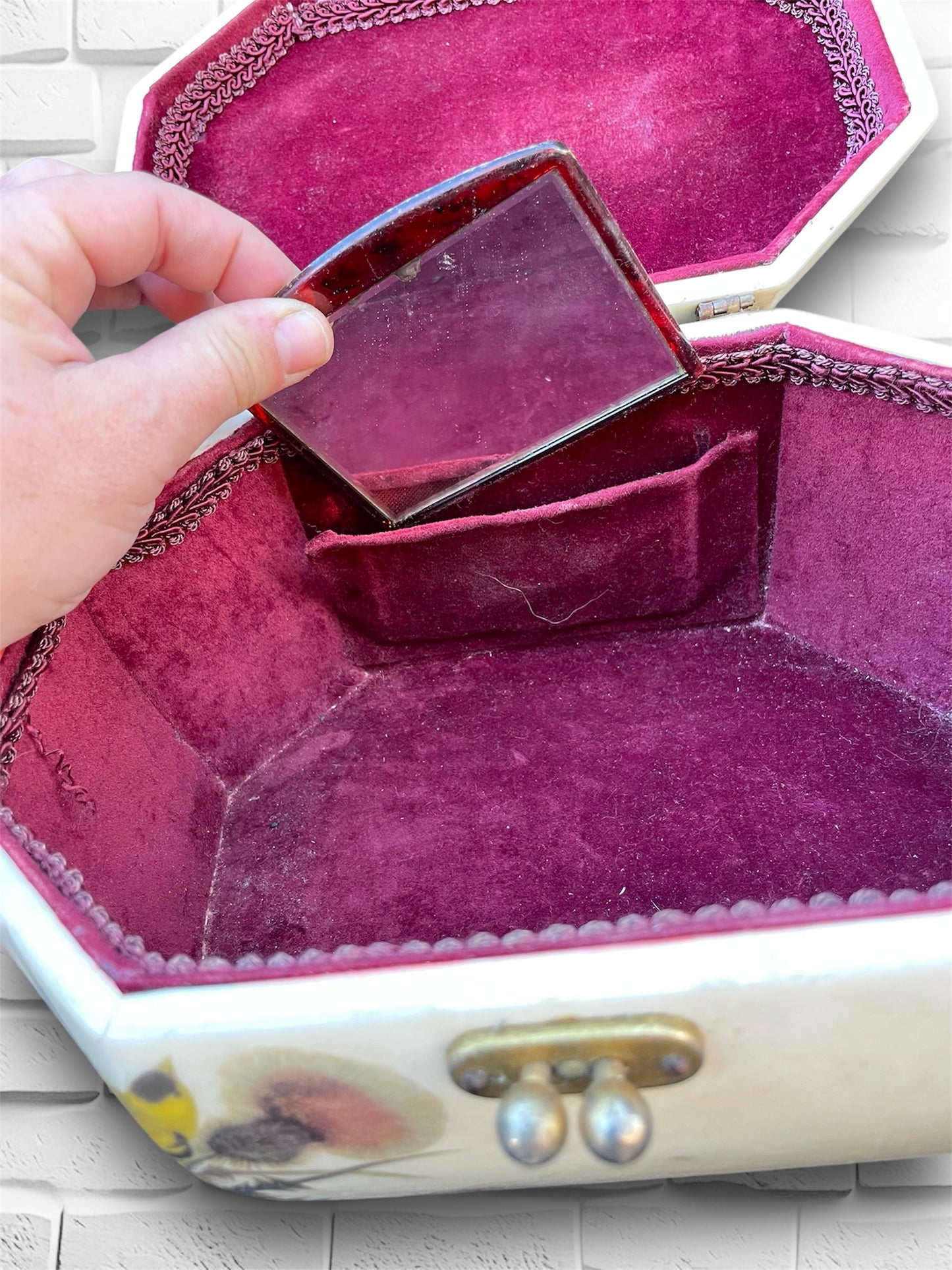 Vintage 1960’s Lucite Box Hodge Podge Purse with 3D Birds
