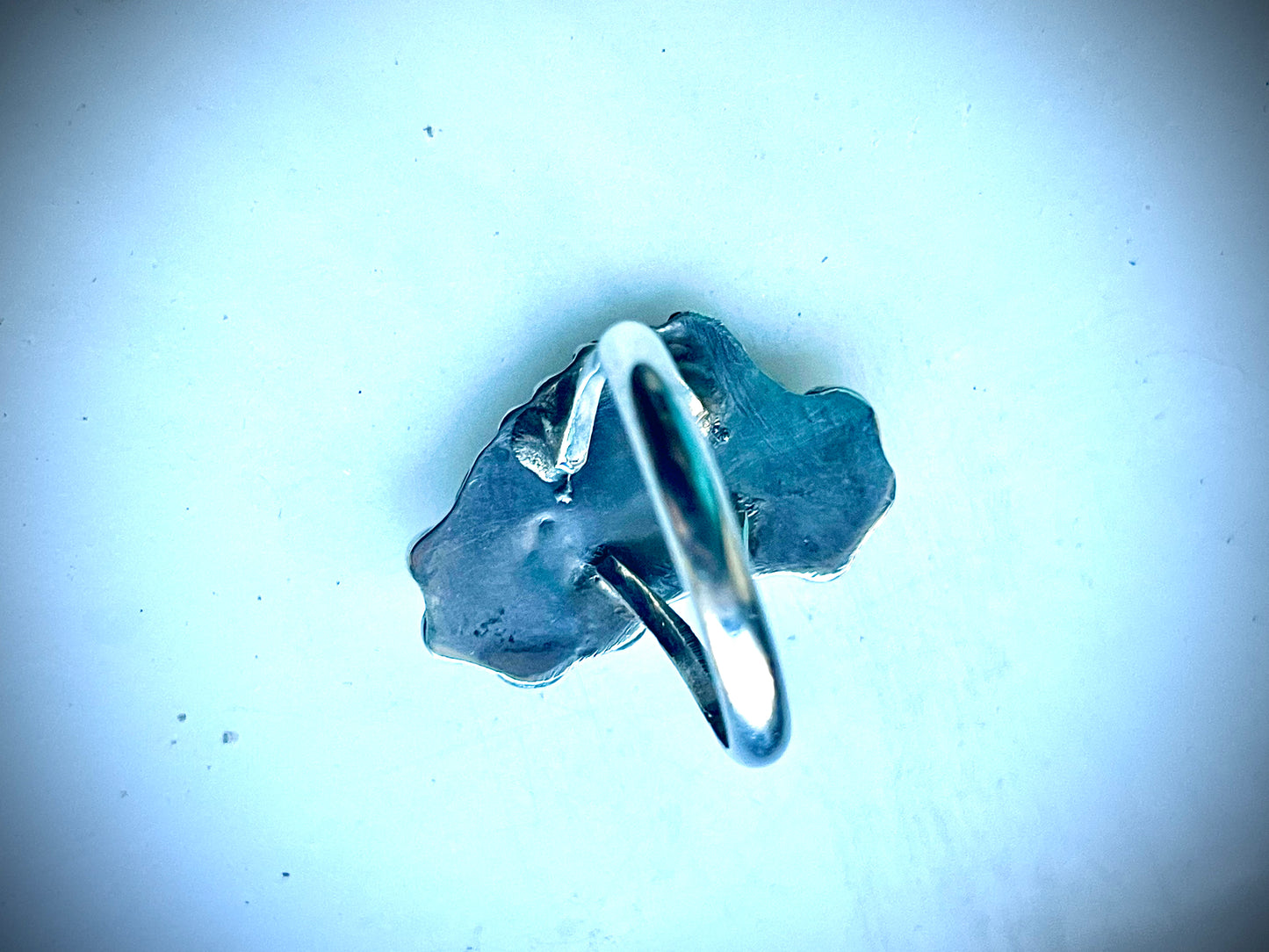 Native American Sterling Silver Turquoise Carved Leaf & Red Coral Ring w/ Leaf