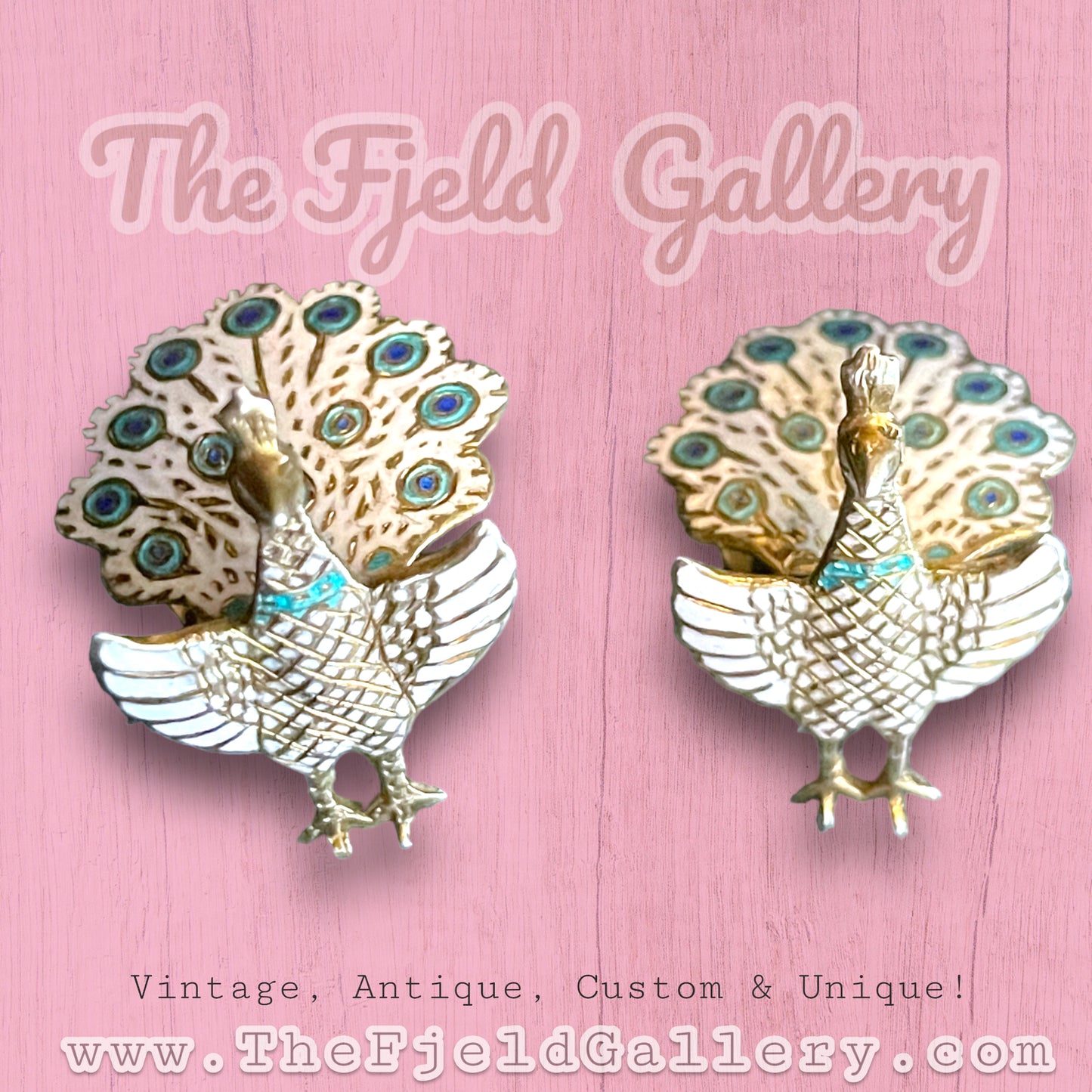 1940’s Siam Vermeille Sterling White & Blue Enamel Peacock Brooch & Earring Set