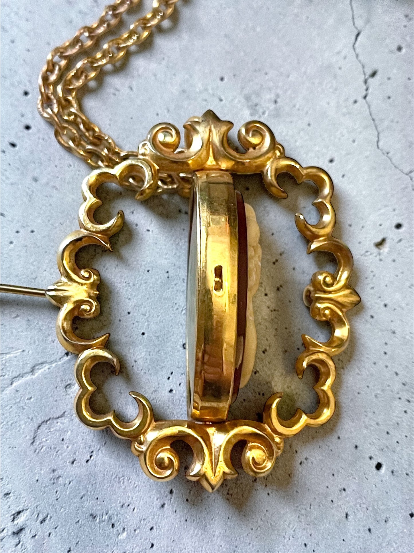 Victorian Spinning Cameo Photo Frame Pendant Necklace