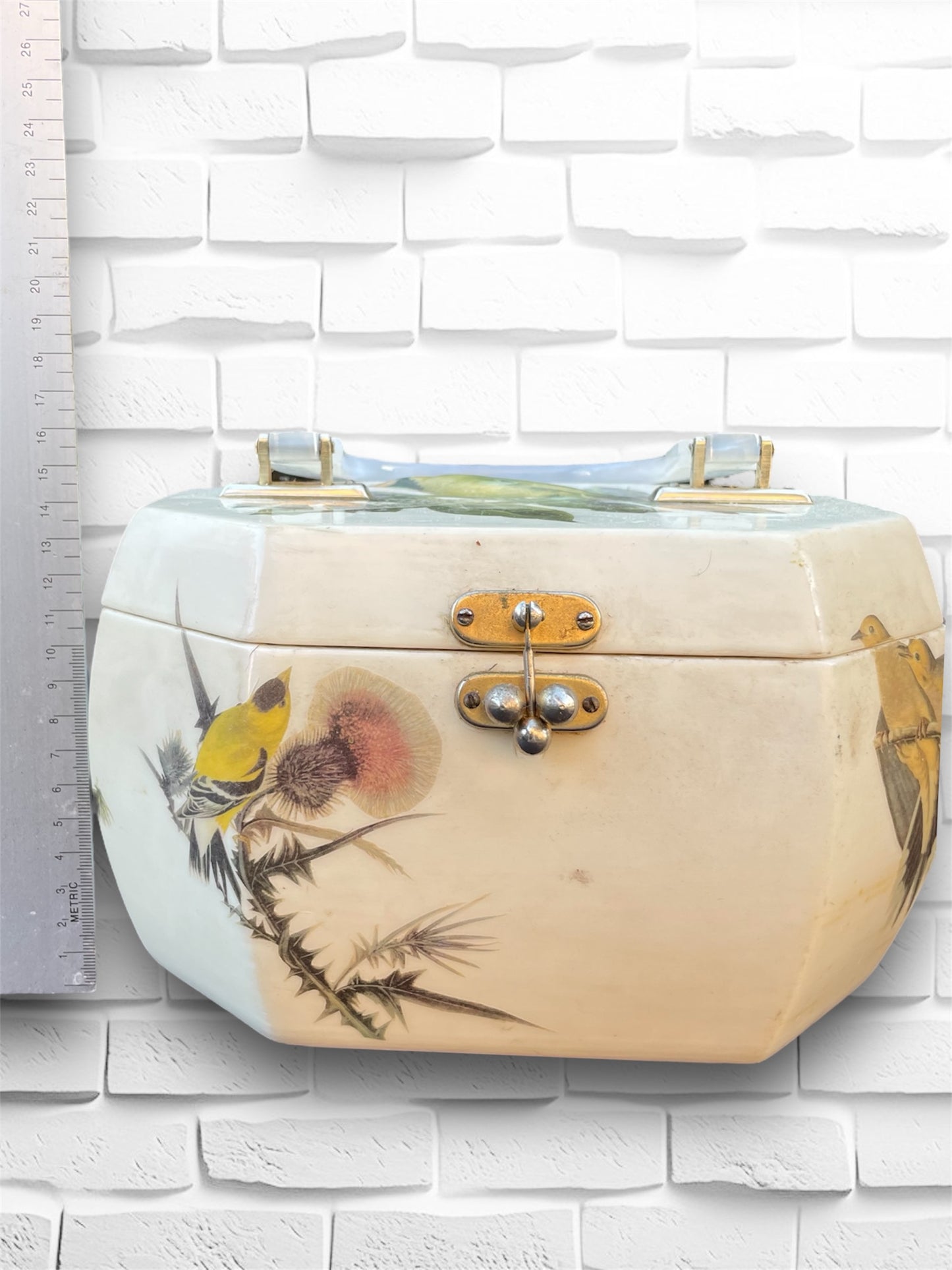 Vintage 1960’s Lucite Box Hodge Podge Purse with 3D Birds