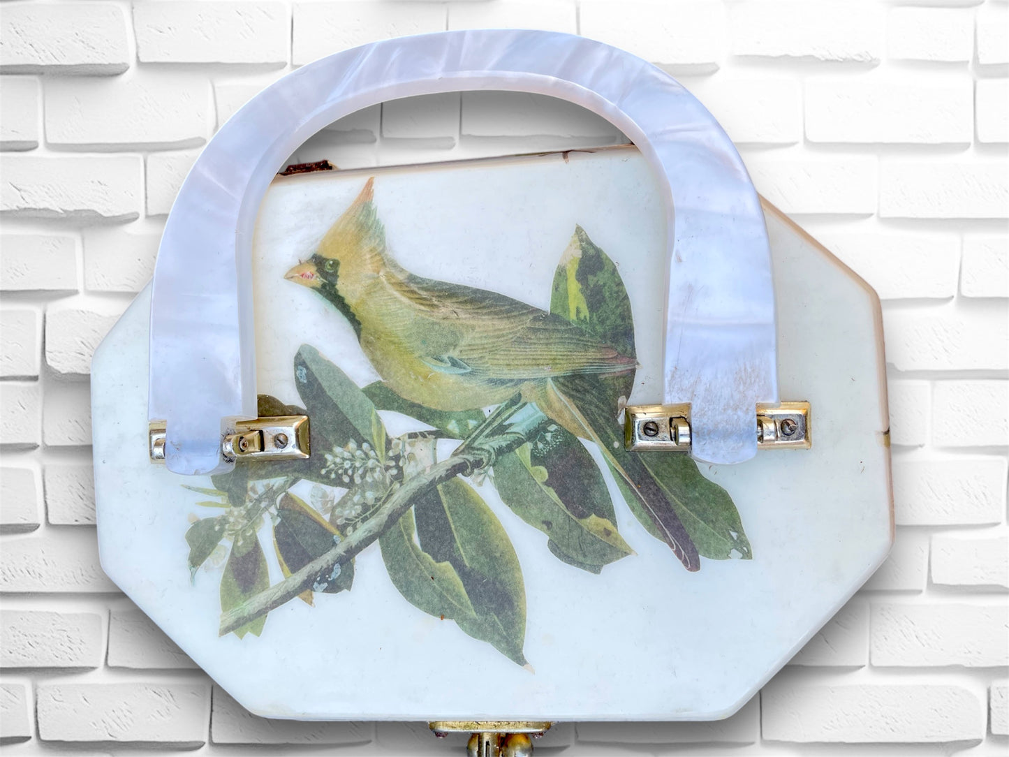 Vintage 1960’s Lucite Box Hodge Podge Purse with 3D Birds